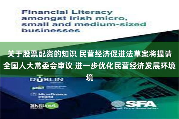 关于股票配资的知识 民营经济促进法草案将提请全国人大常委会审议 进一步优化民营经济发展环境