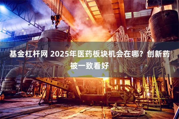 基金杠杆网 2025年医药板块机会在哪？创新药被一致看好