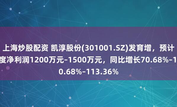 上海炒股配资 凯淳股份(301001.SZ)发育增，预计2024年度净利润1200万元–1500万元，同比增长70.68%–113.36%