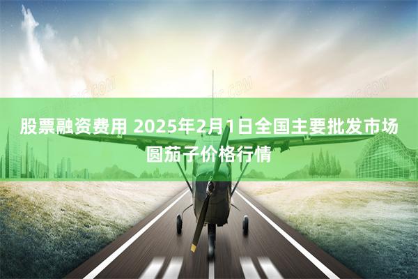 股票融资费用 2025年2月1日全国主要批发市场圆茄子价格行情